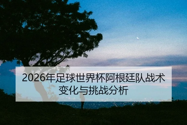 nian-zu-qiu-shi-jie-bei-a-gen-ting-dui-zhan-shu-bian-hua-yu-tiao-zhan-fen-xi-2-475.jpg