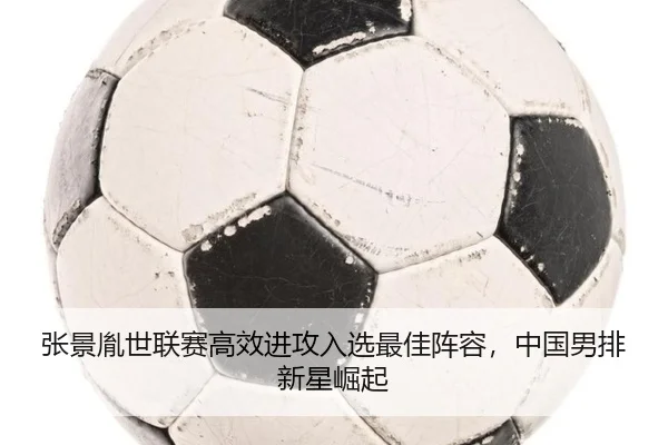 zhang-jing-yin-shi-lian-sai-gao-xiao-jin-gong-ru-xuan-zui-jia-zhen-rong-zhong-guo-nan-pai-xin-xing-jue-qi-2-568.jpg
